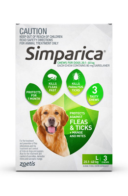 Simparica. A Flea And Tick Treatment 